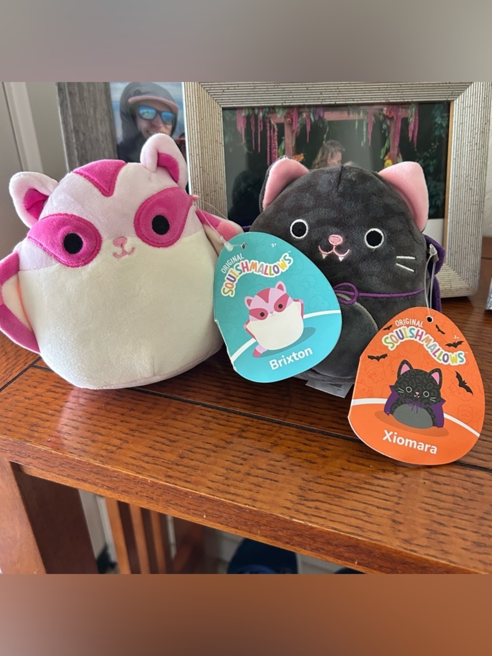 NWT Squishmallows Plushies Set of 2 plush toys Xiomara and Brixton